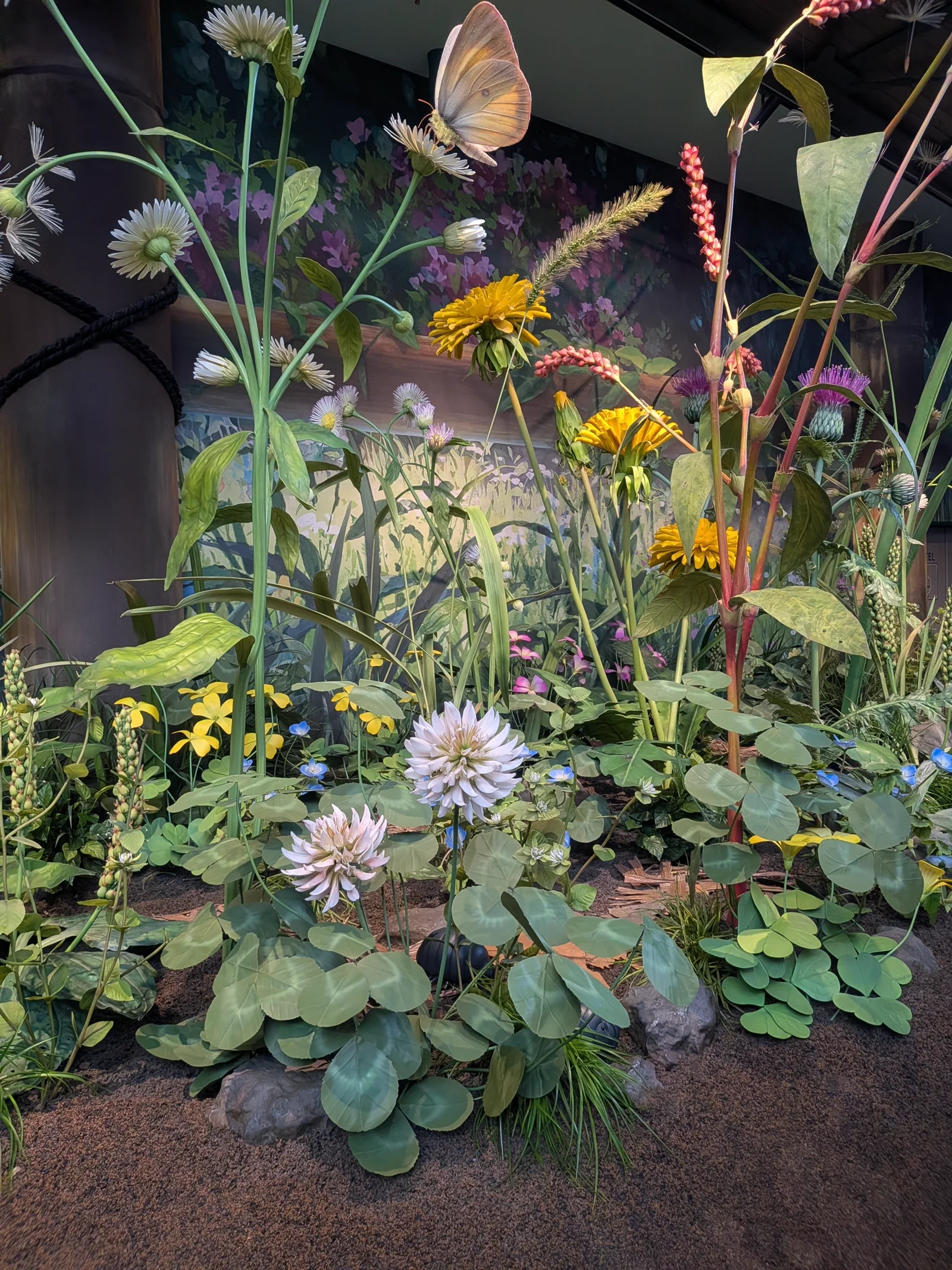 巨大な植物が並ぶ小人の庭