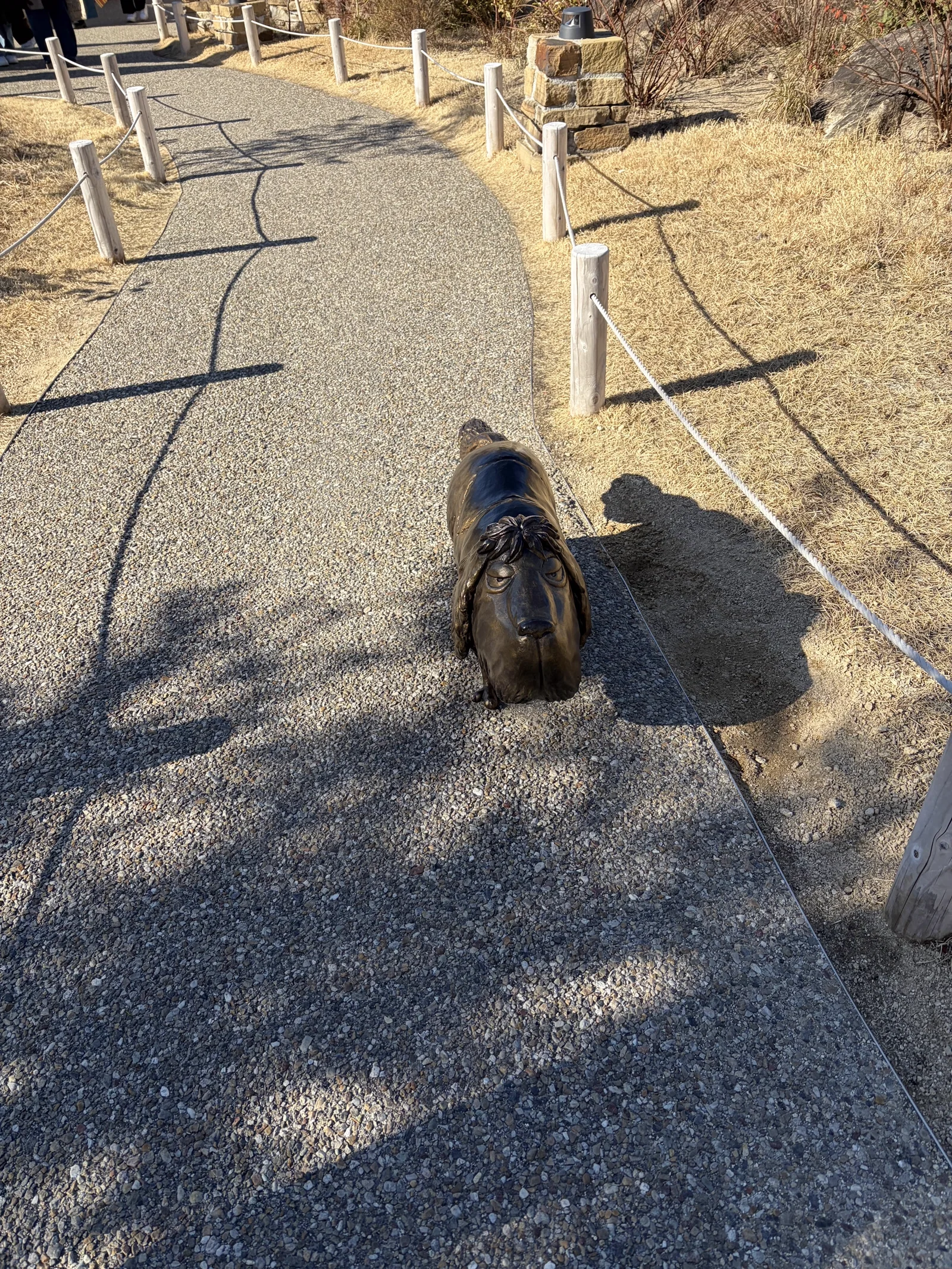 ハウルの動く城のヒン