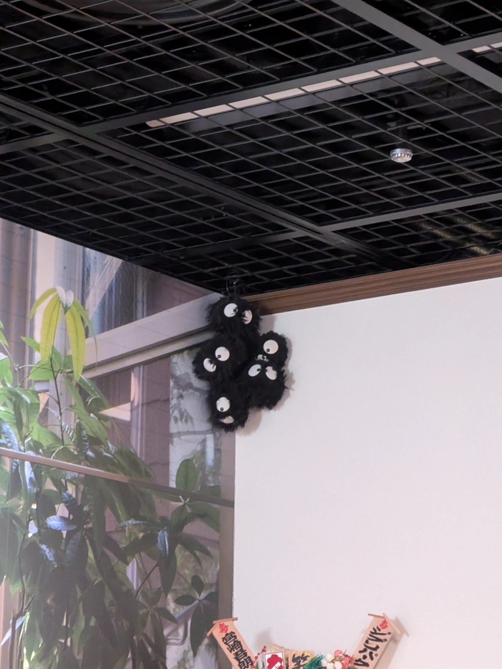 壁に張り付くススワタリ