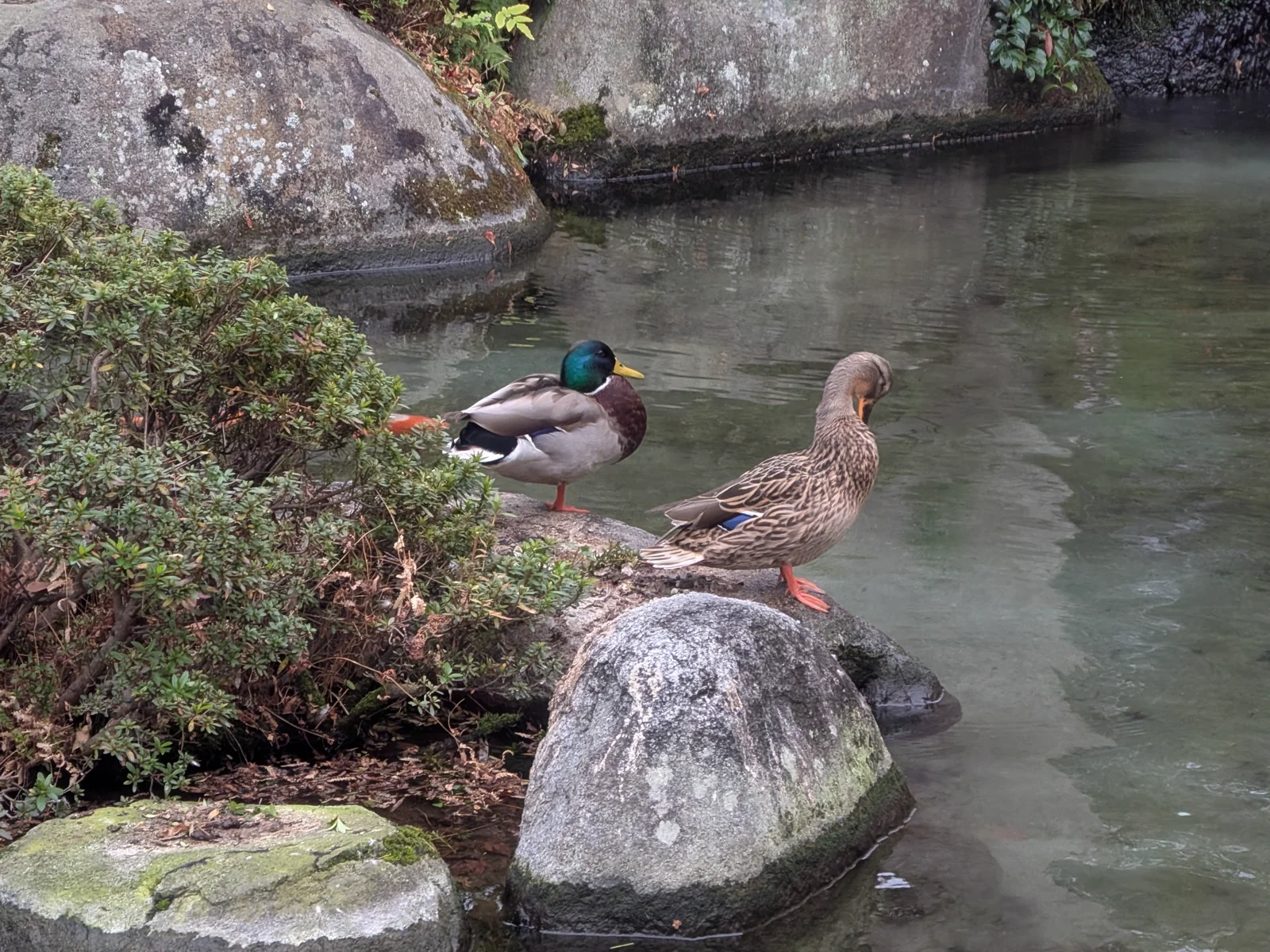 カップルの休み