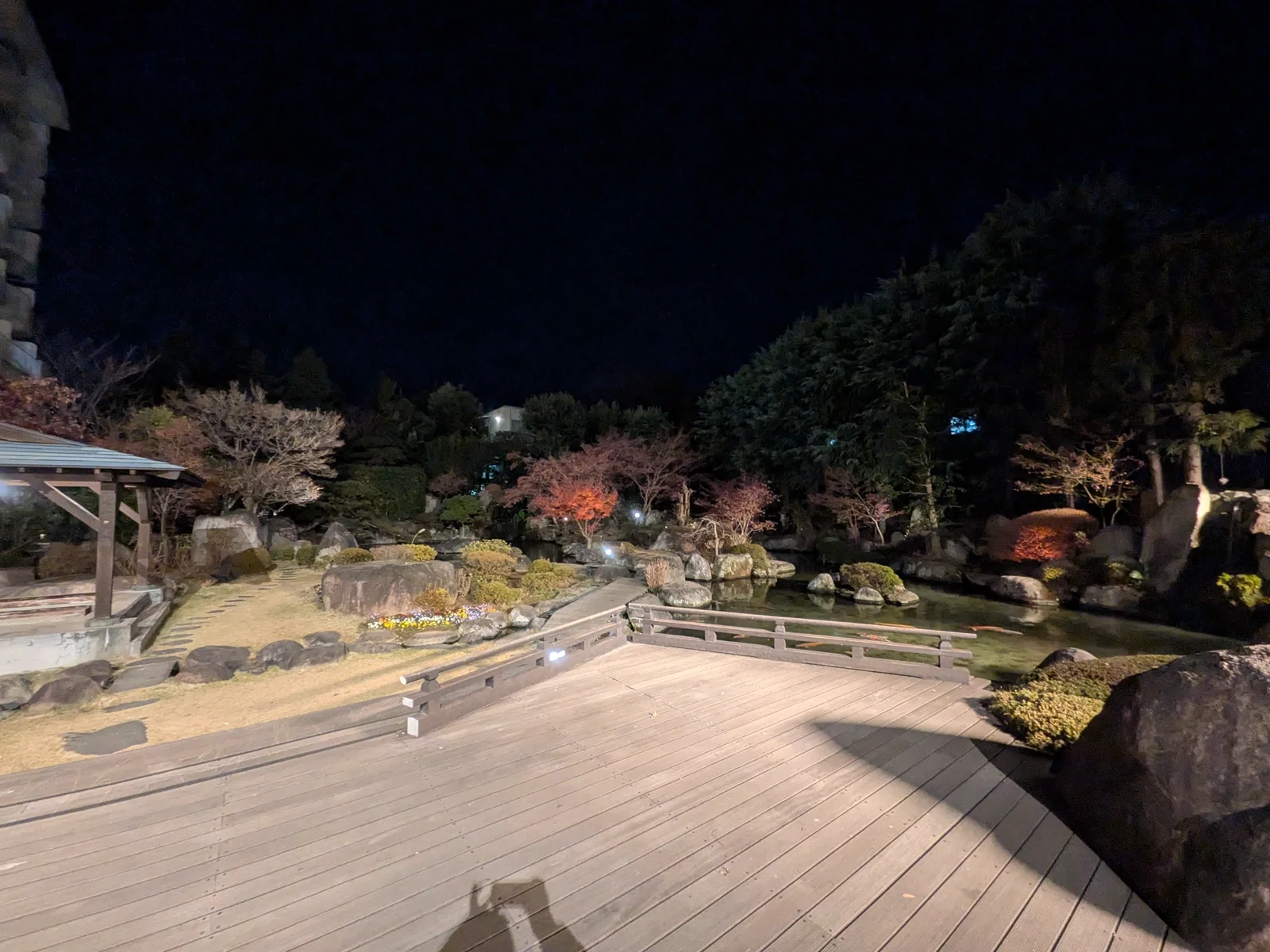 夜の庭園