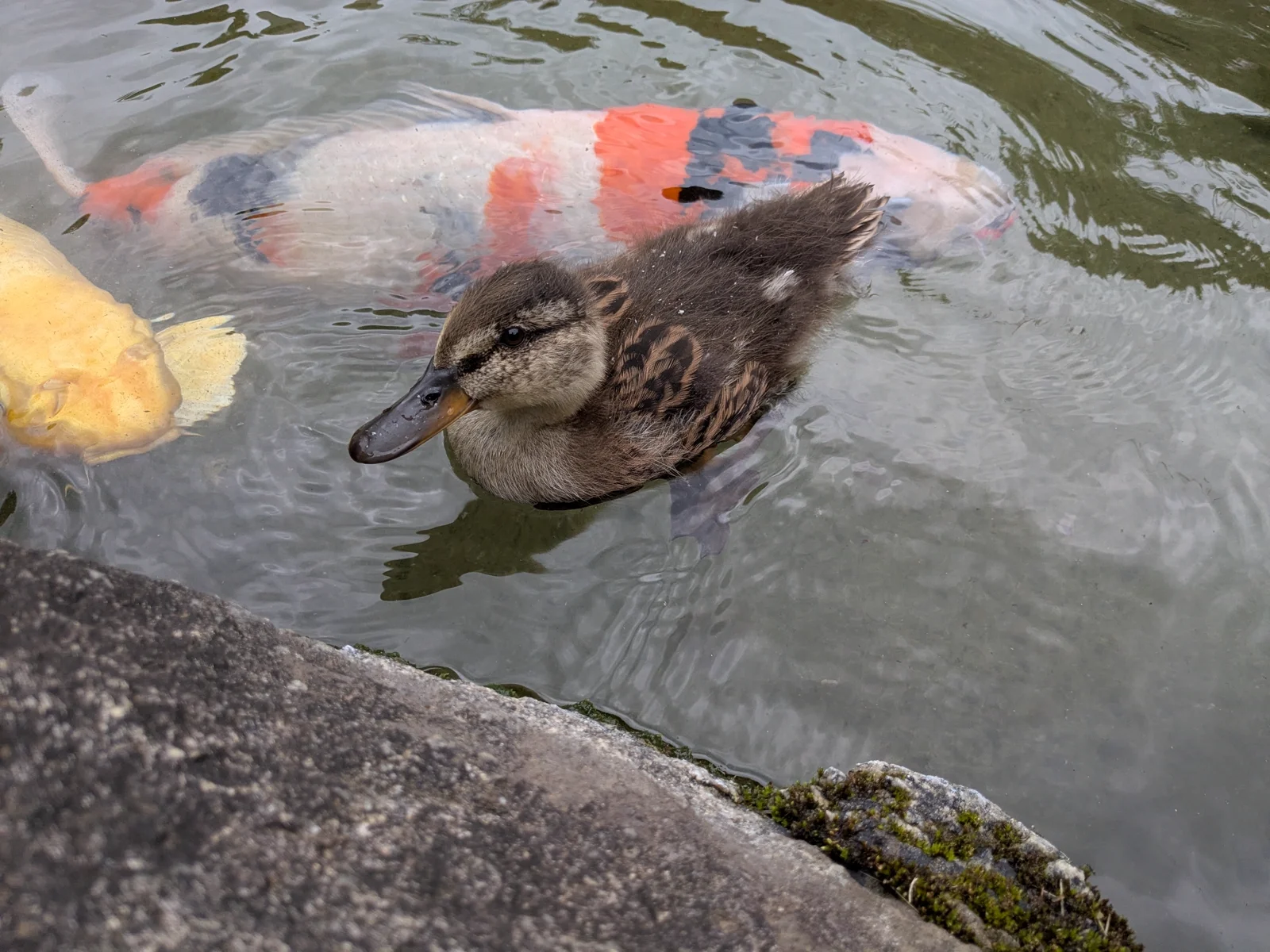 ベストショット