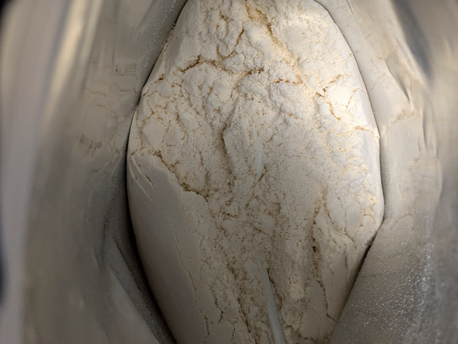 プロテインパウダー