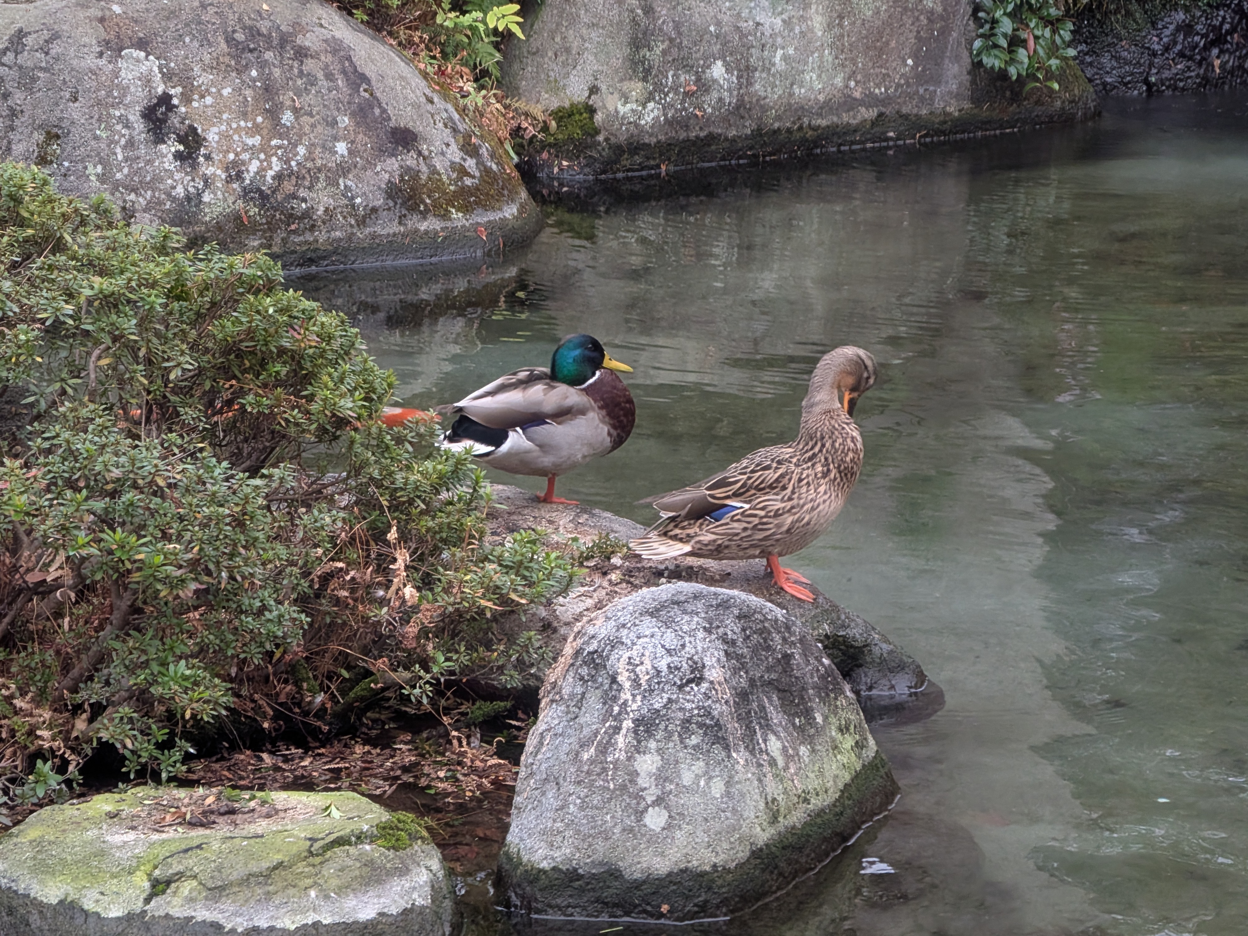 カップルの休み